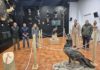 Reabre el centro de visitantes Torre del Vinagre con medios propios y avanza en la nueva licitación