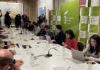 El Consejo del Aceite de Oliva aprueba una decena de propuestas de acción ante los daños en el olivar por el temporal