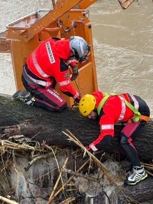 TEMPORAL retirada tronco