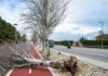 La Junta eleva a Situación Operativa 2 el Plan ante el Riesgo de Inundaciones en Andalucía