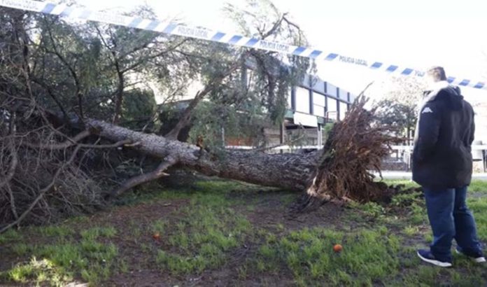 Temporal viento a