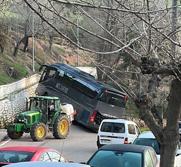 CARRETERA Susto con un autobús escolar en la carretera JV-7056 de Torres de Albanchez