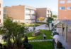 La Universidad de Jaén presentará en la Feria de los Pueblos iniciativas sobre bienestar juvenil y sostenibilidad del sector oleícola