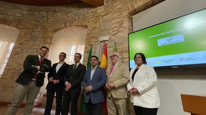 dipuConstitución Asociación Jaén Impacto -18