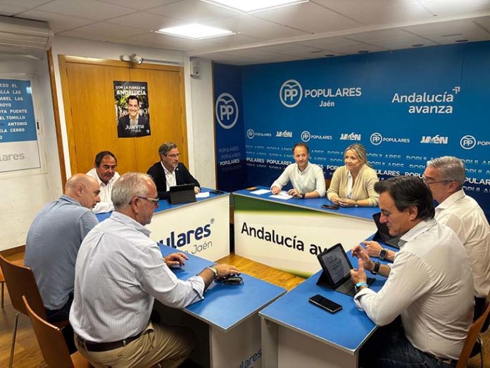 PP ejecutiva provincial
