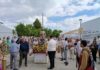 Procesión de San Isidro Labrador en Las Infantas