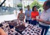 La Diputación celebra una nueva Muestra de la Breva de Jimena para acercar esta fruta a los consumidores
