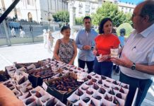 La Diputación celebra una nueva Muestra de la Breva de Jimena para acercar esta fruta a los consumidores