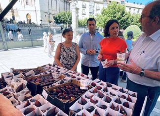 La Diputación celebra una nueva Muestra de la Breva de Jimena para acercar esta fruta a los consumidores