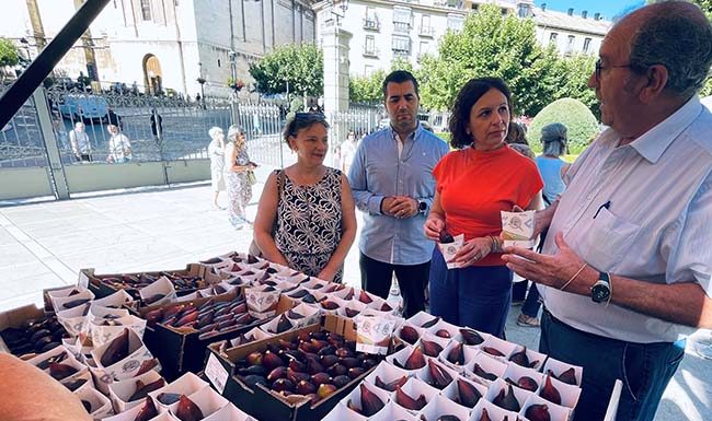 La Diputación celebra una nueva Muestra de la Breva de Jimena para acercar esta fruta a los consumidores
