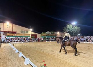 Latorre destaca el impacto económico y turístico generado por el VI Salón del Caballo de Arjona