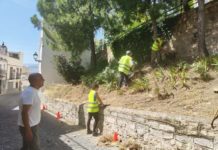 Trabajos de desbroce que se están realizando en la carretera de circunvalación a cargo del programa PFE