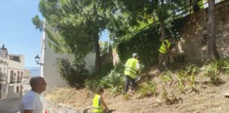 Trabajos de desbroce que se están realizando en la carretera de circunvalación a cargo del programa PFE