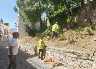 Trabajos de desbroce que se están realizando en la carretera de circunvalación a cargo del programa PFE