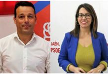 Dos nuevos vicepresidentes de la Diputación