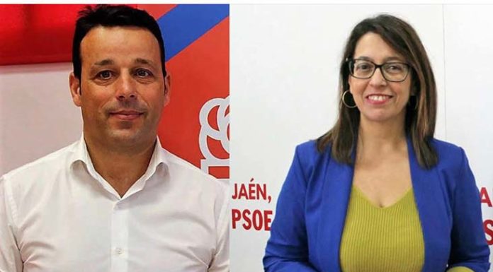 Dos nuevos vicepresidentes de la Diputación