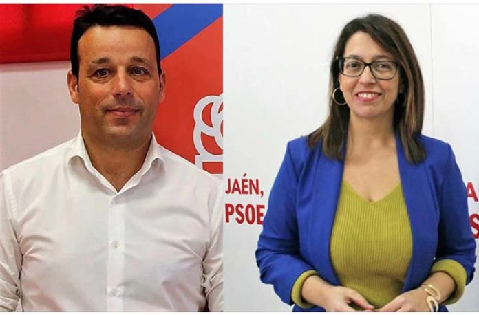 Dipurtacion vicepresidentes