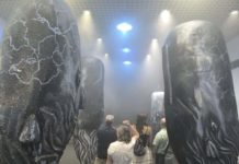 Exposición ‘En el reino del silencio los cachalotes duerme en vertical’ de Ramon Figueroa