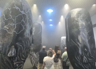Exposición ‘En el reino del silencio los cachalotes duerme en vertical’ de Ramon Figueroa