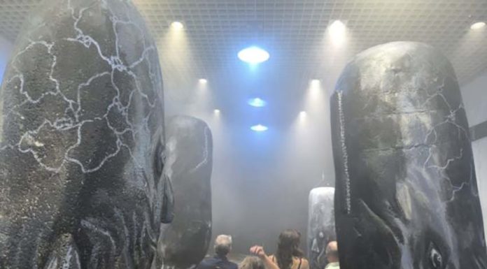 Exposición ‘En el reino del silencio los cachalotes duerme en vertical’ de Ramon Figueroa
