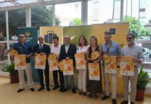 La Avenida de Andalucía de Jaén se prepara para la «3ª Gran Espetada en Gran Eje» con más de 500 kilos de sardinas