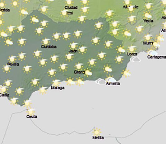 Cielos poco nubosos, con intervalos de nubes altas. Intervalos de nubes bajas matinales en la Sierra de Cazorla y Segura