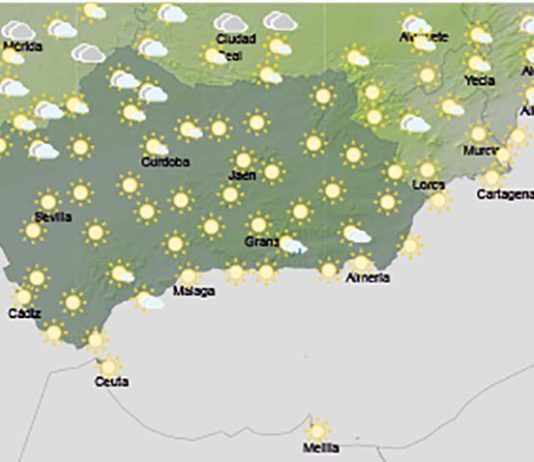 Cielos con intervalos de nubes medias y altas, sin descartar chubascos que pueden ir ocasionalmente acompañados de tormentas