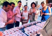 Las cerezas de Torres y de Castillo de Locubín se degustan en la lonja del Palacio Provincial