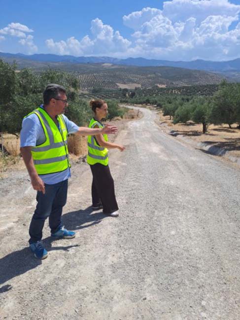 TRASHUMANCIA CAMINOS
