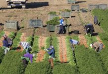 La Junta solicita al Gobierno una reducción de un 35% en los módulos de IRPF para todas las producciones agrícolas