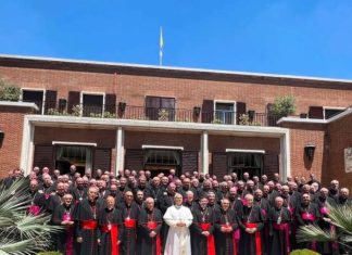 La Virgen de la Cabeza y el aceite de oliva en el encuentro del Obispo de Jaén y el Papa León XIV