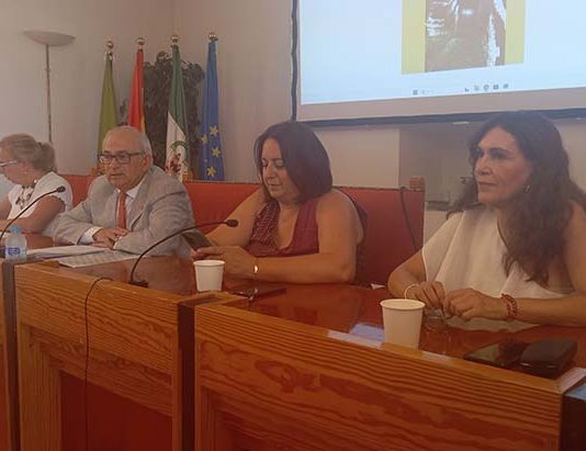El CES provincial aprueba sus consideraciones y recomendaciones sobre la situación socioeconómica y laboral