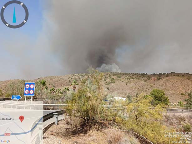 INCENDIO EN LOS GALLARDOS 2026
