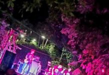 El centenario de los Jardines de Jabalcuz se celebró al ritmo de Telefunkem y DJ Raúl Alkáza