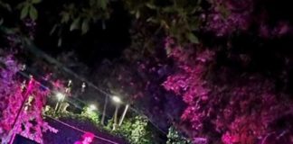 El centenario de los Jardines de Jabalcuz se celebró al ritmo de Telefunkem y DJ Raúl Alkáza