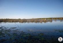 La Laguna Grande de Baeza entra en la Lista Roja de Hispania Nostra: un humedal protegido que reclama la recuperación de su funcionamiento natural