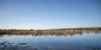 La Laguna Grande de Baeza entra en la Lista Roja de Hispania Nostra: un humedal protegido que reclama la recuperación de su funcionamiento natural