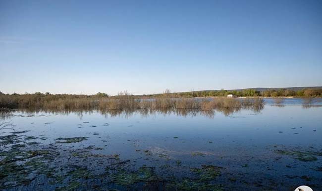 La Laguna Grande de Baeza entra en la Lista Roja de Hispania Nostra: un humedal protegido que reclama la recuperación de su funcionamiento natural