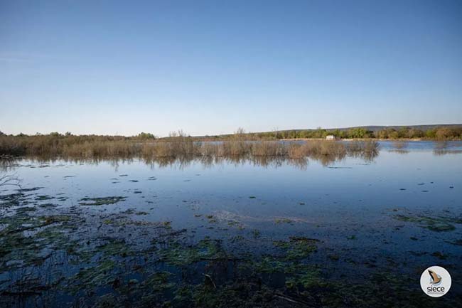 Laguna-Grande Baeza