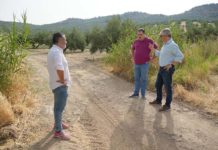 Víctor Torres califica de «chapuza» de la Junta en los caminos rurales