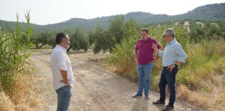 Víctor Torres califica de «chapuza» de la Junta en los caminos rurales