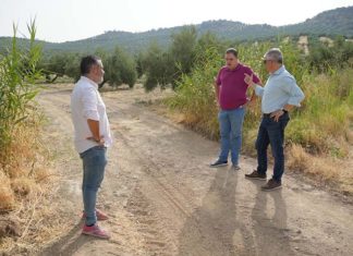 Víctor Torres califica de «chapuza» de la Junta en los caminos rurales