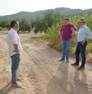 Víctor Torres califica de «chapuza» de la Junta en los caminos rurales