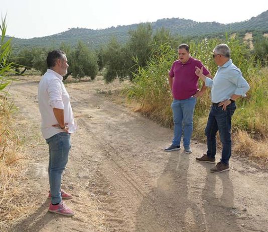 Víctor Torres califica de «chapuza» de la Junta en los caminos rurales