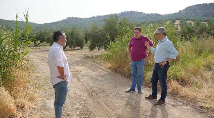 Víctor Torres califica de «chapuza» de la Junta en los caminos rurales