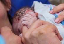 El Hospital Universitario de Jaén atendió 795 nacimientos durante el primer semestre de este año