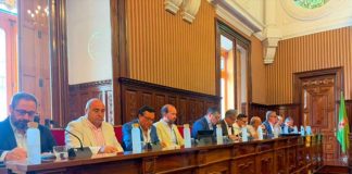 El PP logra la ampliación urgente de la carretera de Los Puentes tras más de diez años de abandono del PSOE y nuevas paradas de autobús: “Es histórico para los vecinos”
