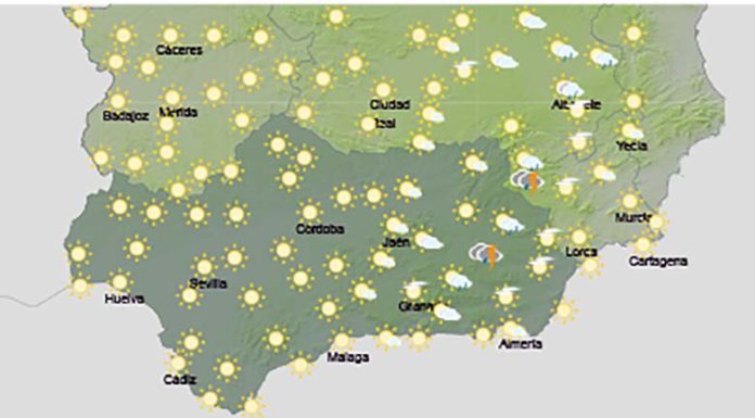 Temperaturas en ascenso, sin descartar tormentas ocasionales